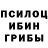 Псилоцибиновые грибы мицелий CMDR KuzSan