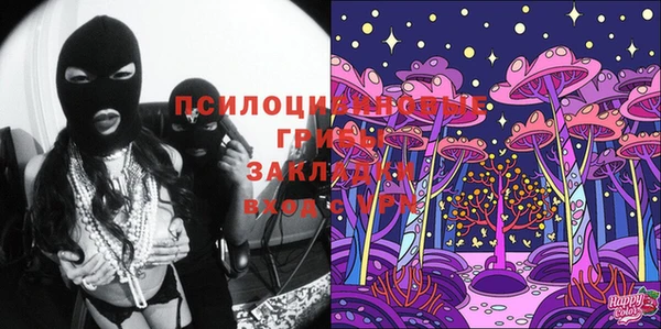 СК Белокуриха