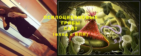 ешки Белоозёрский