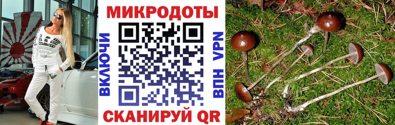 Галлюциногенные грибы ЛСД  blacksprut маркетплейс  Югорск  даркнет телеграм  наркота 